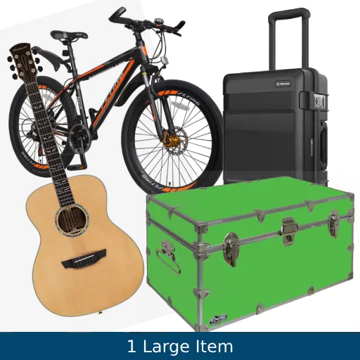 1 Large Item